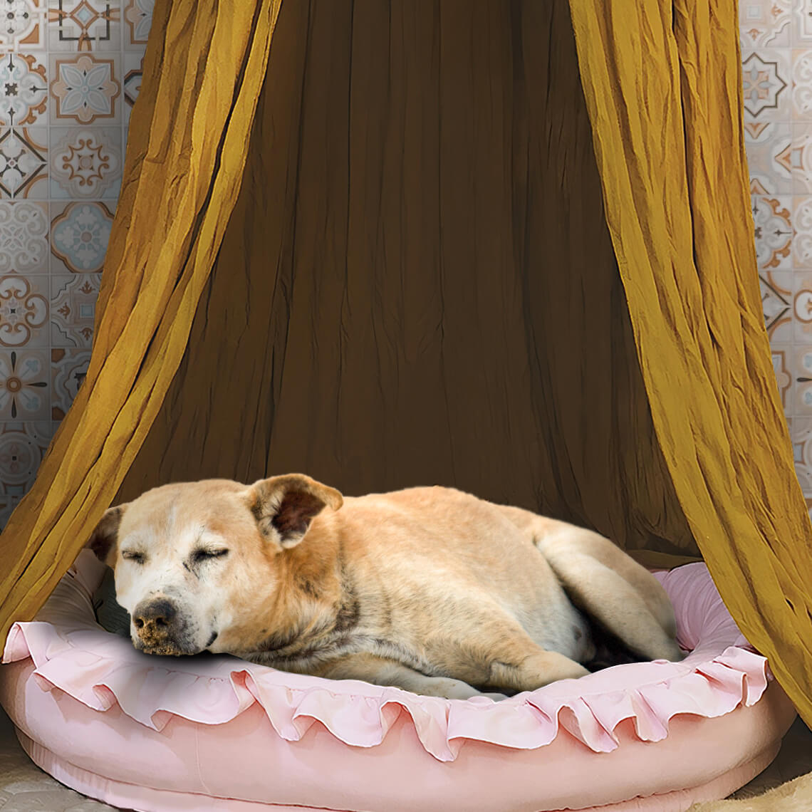 Soft Cozy Dog Tent Dog Teepee