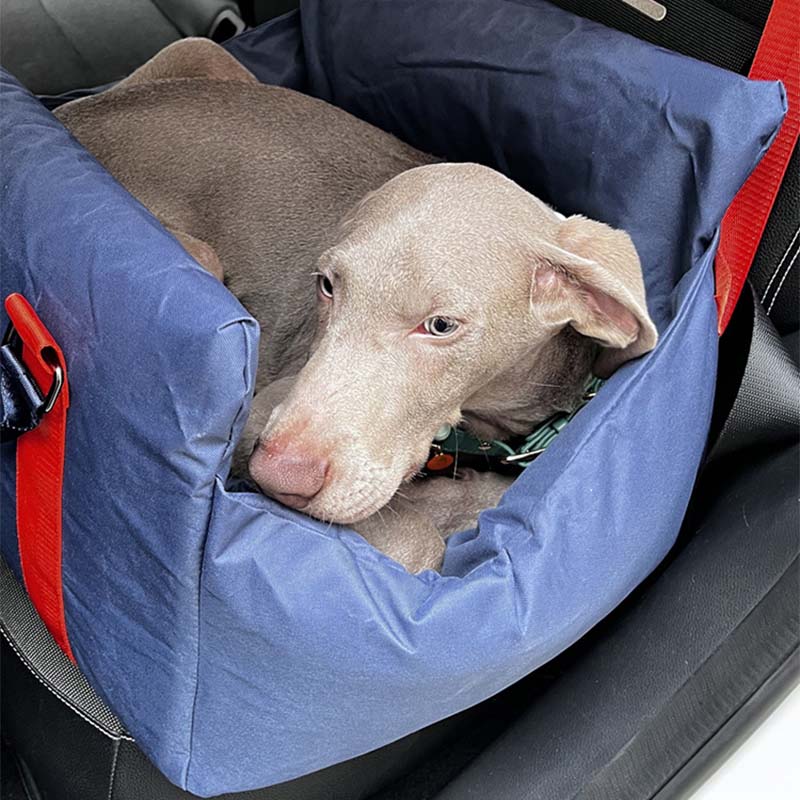 Oxford Fabric Pet Front Car Seat Removable Dog Car Seat Bed