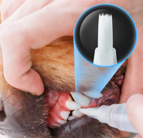 Pet Teeth Cleaner Pen