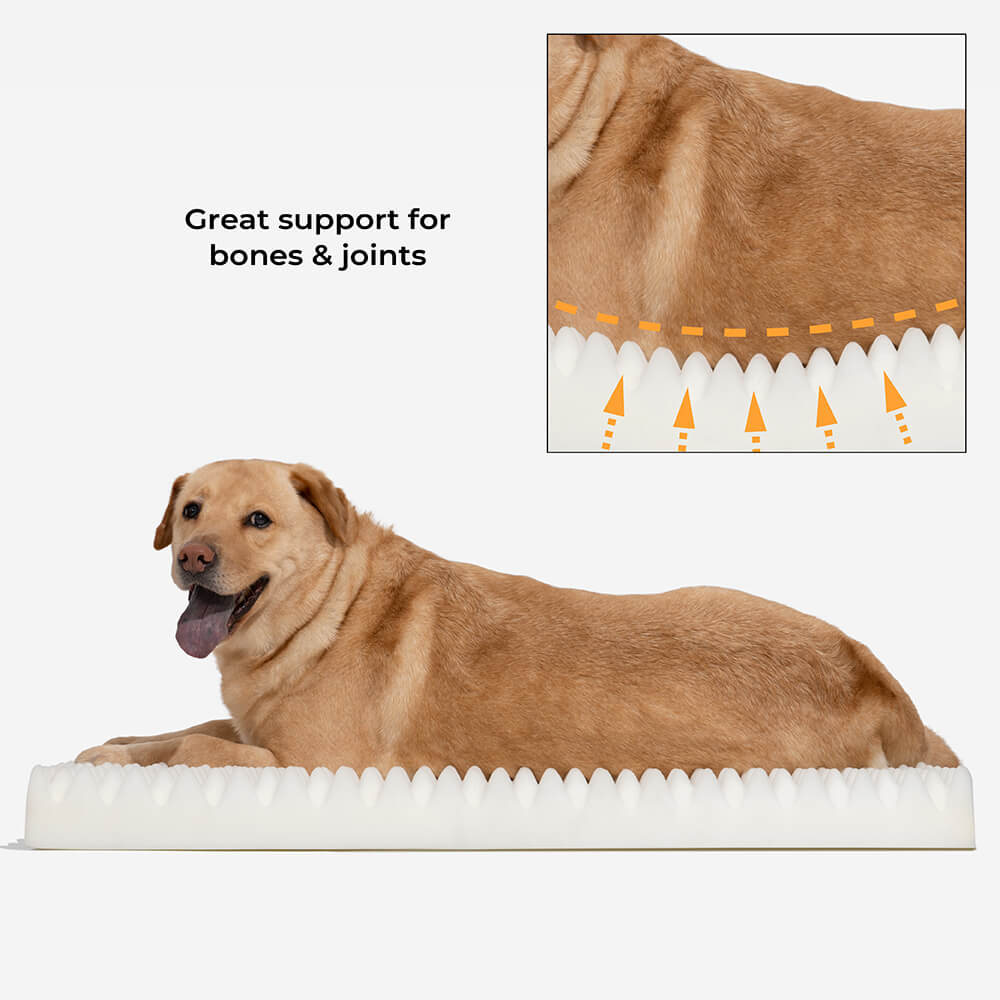 Ultimate Cozy Plush Extra Large Sleep Deeper Orthopedic Bed Human Dog Bed