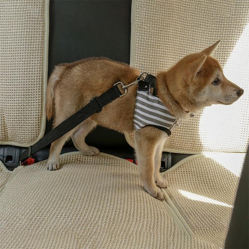 Adjustable Dog Seat Belt - Imoost