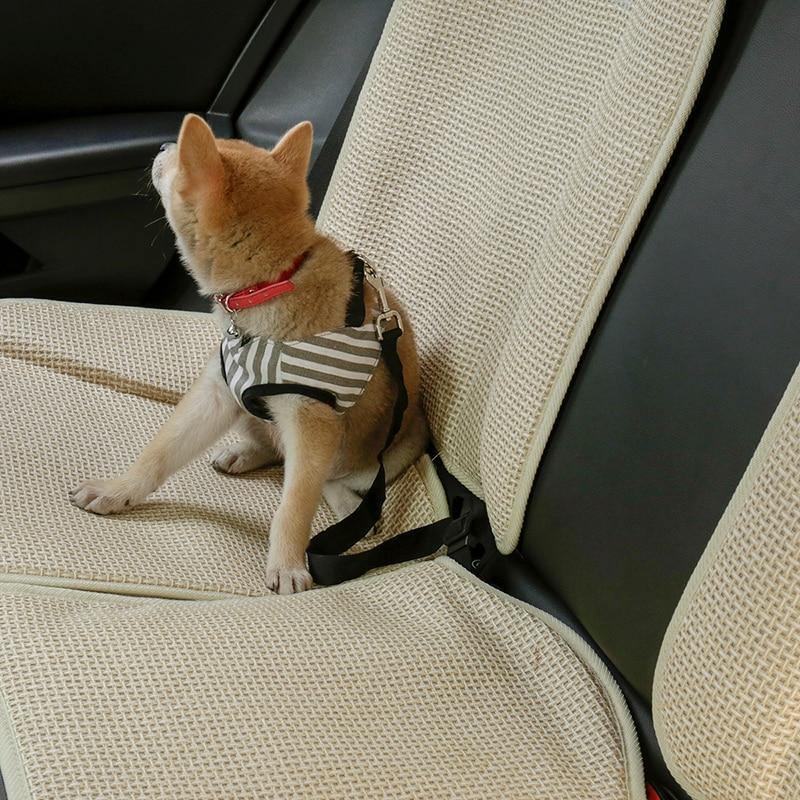 Adjustable Dog Seat Belt - Imoost