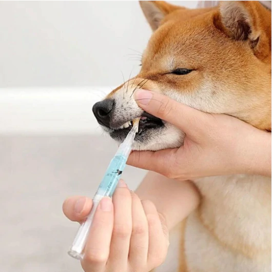 Pet Teeth Cleaner Pen